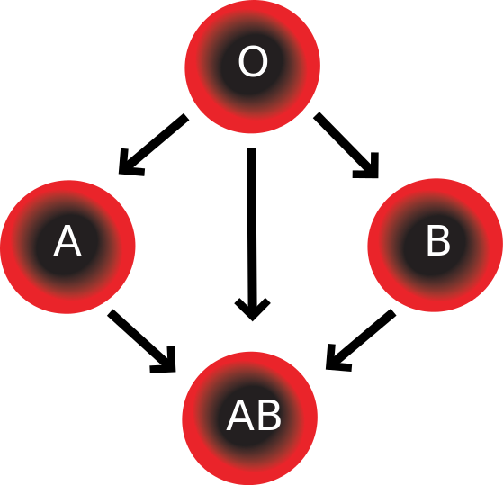 Blood Inheritance Diamond